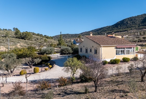 Herverkoop - Finca Landelijk pand -
La Zarza