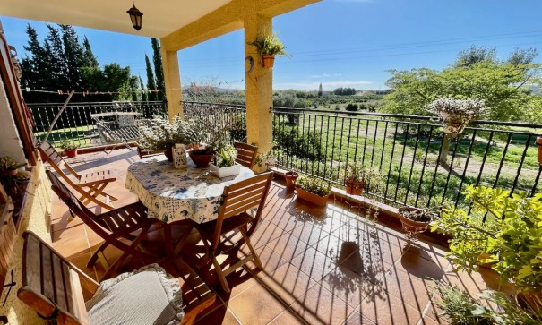 Återförsäljning - Finca lantlig egendom -
Daya Nueva