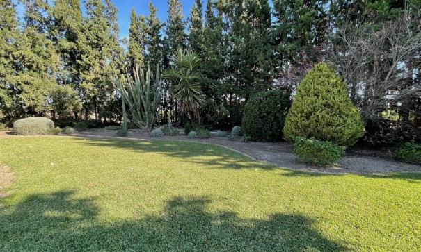 Återförsäljning - Finca lantlig egendom -
Daya Nueva