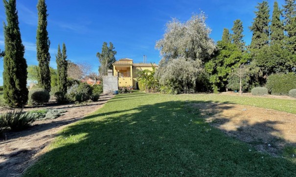 Återförsäljning - Finca lantlig egendom -
Daya Nueva