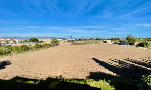 Återförsäljning - Finca lantlig egendom -
Daya Nueva