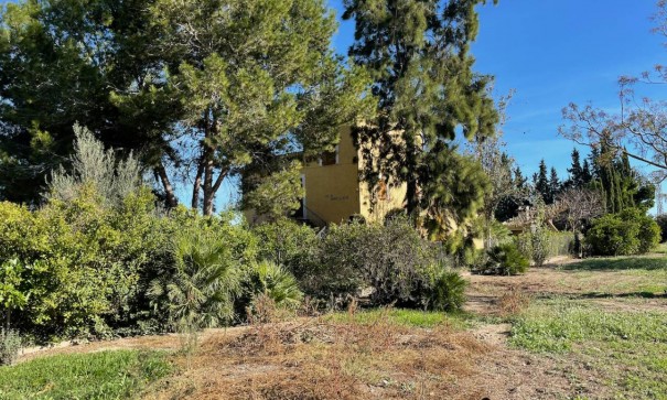 Återförsäljning - Finca lantlig egendom -
Daya Nueva