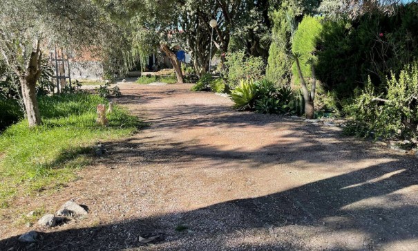 Återförsäljning - Finca lantlig egendom -
Daya Nueva