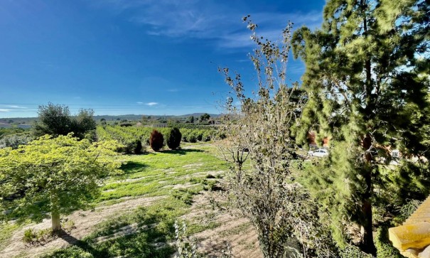 Återförsäljning - Finca lantlig egendom -
Daya Nueva