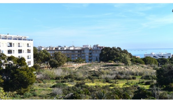 Återförsäljning - Radhus -
Guardamar del Segura