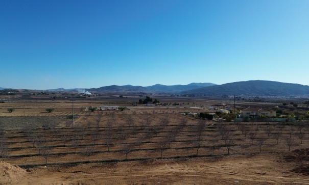 New Build - Detached Villa -
Pinoso