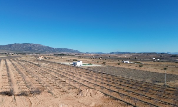 New Build - Detached Villa -
Pinoso