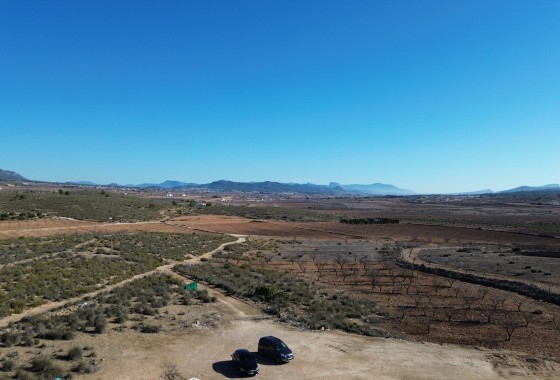 Nouvelle construction - Villa Individuelle -
Pinoso