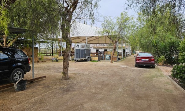 Resale - Finca Landgut -
Orihuela