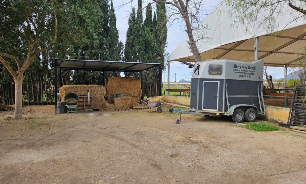 Resale - Finca Landgut -
Orihuela