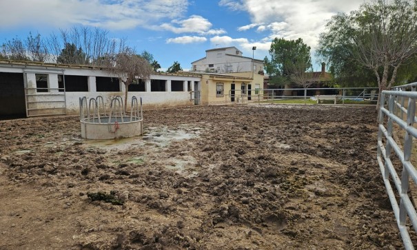 Resale - Finca Landgut -
Orihuela