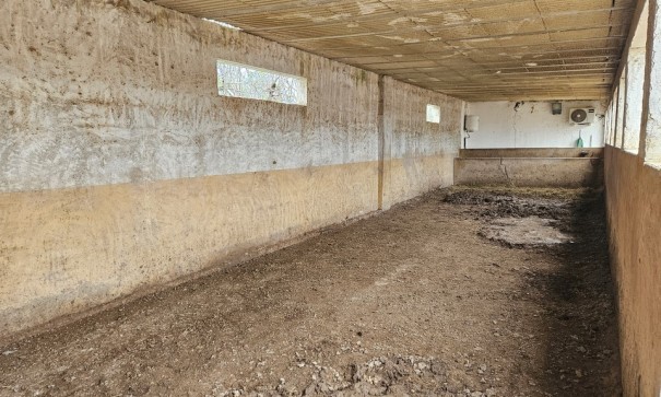 Resale - Finca Landgut -
Orihuela