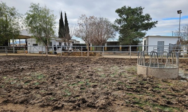 Resale - Finca Landgut -
Orihuela
