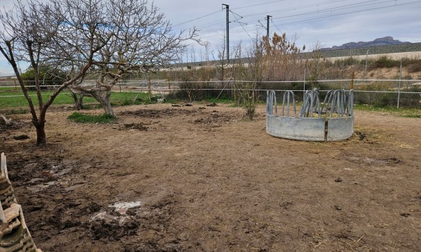 Resale - Finca Landgut -
Orihuela