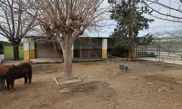 Resale - Finca Landgut -
Orihuela