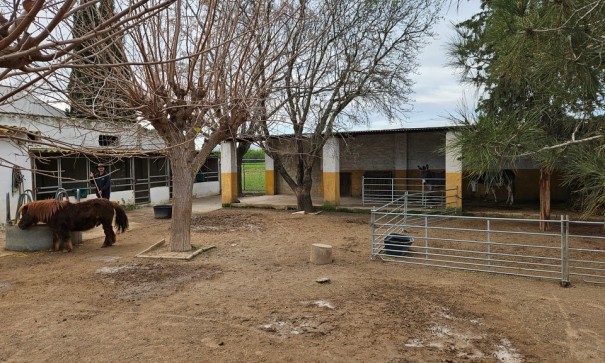 Resale - Finca Landgut -
Orihuela