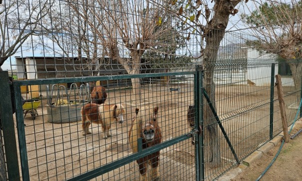 Resale - Finca Landgut -
Orihuela