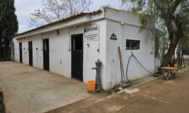 Resale - Finca Landgut -
Orihuela