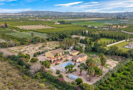 Sale - Detached Villa -
Orihuela