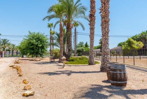 Sale - Finca Country Property -
Catral