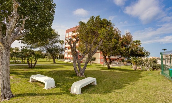 Återförsäljning - Lägenhet lägenhet -
Torrevieja - Torreblanca