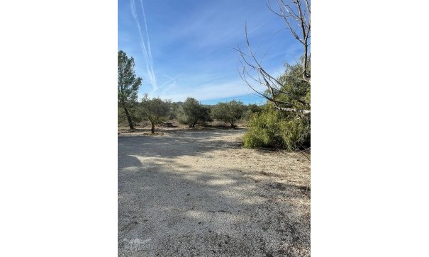 Återförsäljning - Finca lantlig egendom -
&Uacute;beda - &Uacute;beda Alicante