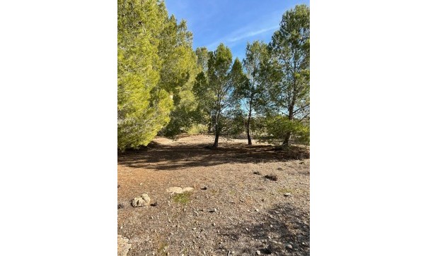 Återförsäljning - Finca lantlig egendom -
&Uacute;beda - &Uacute;beda Alicante