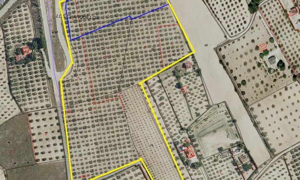 Plot Land - Sale - SAX -
                SAX