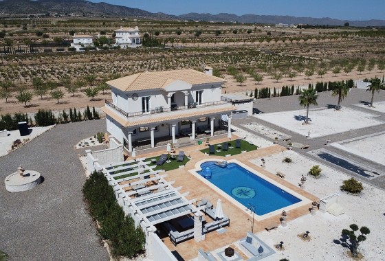 Nouvelle construction - Vrijstaande Villa -
Pinoso