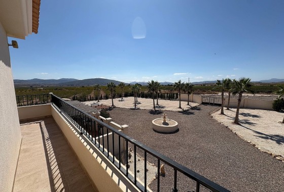 Nouvelle construction - Vrijstaande Villa -
Pinoso