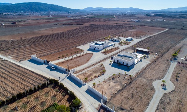 Sprzedaż - Finca nieruchomość wiejska -
Pinoso - Campo