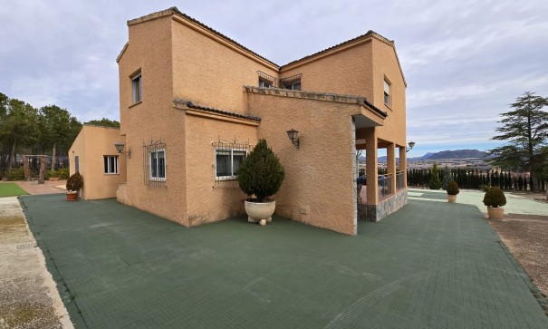 Finca Country Property - Sale - Salinas -
                Salinas