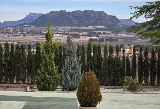 Revente - Finca Propriété rurale -
Salinas