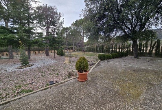 Revente - Finca Propriété rurale -
Salinas