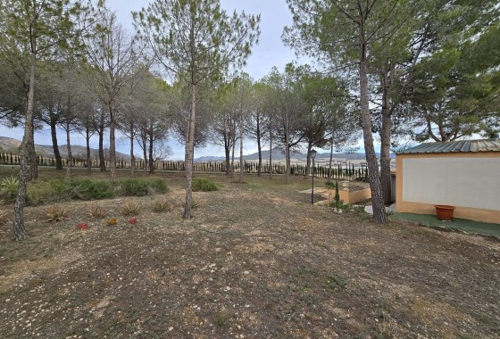 Revente - Finca Propriété rurale -
Salinas