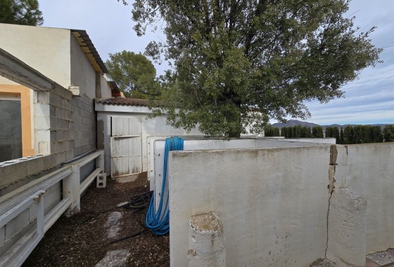 Revente - Finca Propriété rurale -
Salinas