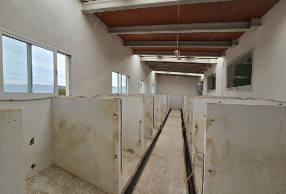 Revente - Finca Propriété rurale -
Salinas