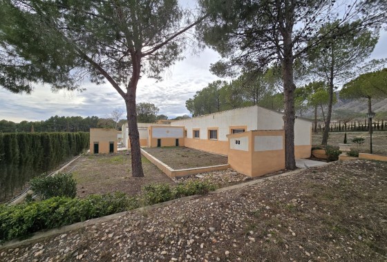 Revente - Finca Propriété rurale -
Salinas