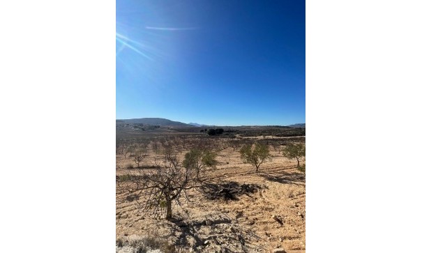 Videresalg - Grund Jord -
Culebr&oacute;n - Culebr&oacute;n Alicante