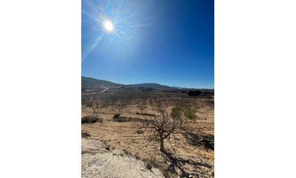 Videresalg - Grund Jord -
Culebr&oacute;n - Culebr&oacute;n Alicante