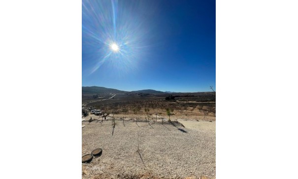 Videresalg - Grund Jord -
Culebr&oacute;n - Culebr&oacute;n Alicante