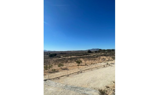 Videresalg - Grund Jord -
Culebr&oacute;n - Culebr&oacute;n Alicante