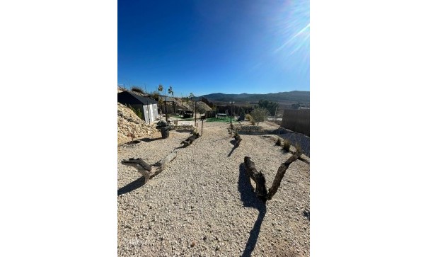 Videresalg - Grund Jord -
Culebr&oacute;n - Culebr&oacute;n Alicante