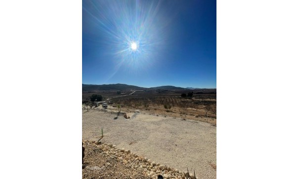 Videresalg - Grund Jord -
Culebr&oacute;n - Culebr&oacute;n Alicante