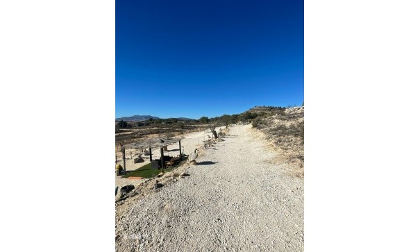 Videresalg - Grund Jord -
Culebr&oacute;n - Culebr&oacute;n Alicante