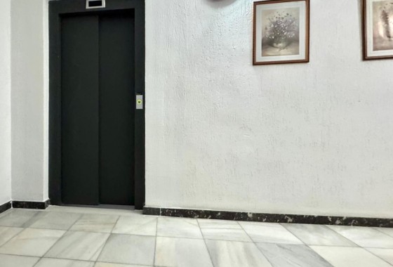 Revente - Appartement -
Almoradí