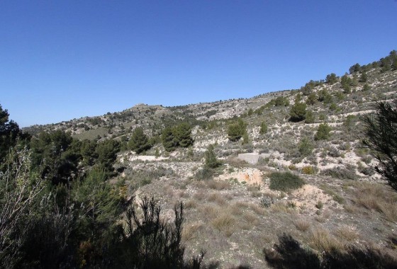 Herverkoop - Vrijstaande Villa -
Petrer