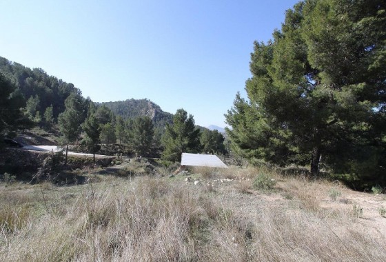 Herverkoop - Vrijstaande Villa -
Petrer