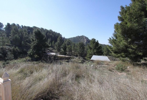 Herverkoop - Vrijstaande Villa -
Petrer