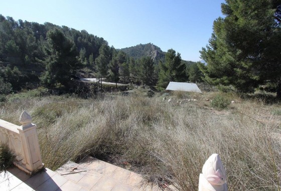 Herverkoop - Vrijstaande Villa -
Petrer